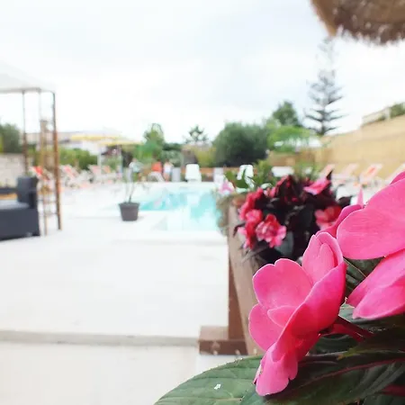 Zia Pia Bed and breakfast 4*